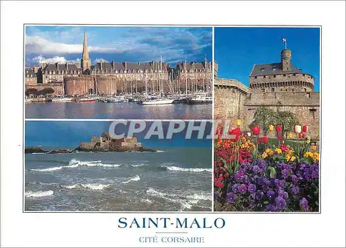 Cartes postales moderne Saint Malo Cite Corsaire