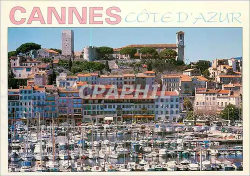 Cartes postales moderne Cannes Cote d'Azur