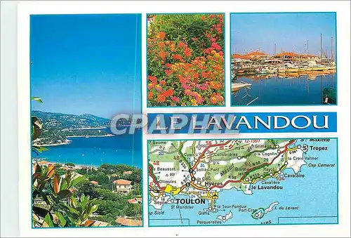 Cartes postales moderne Le Lavandou