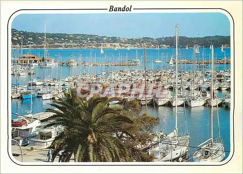 Cartes postales moderne Au Soleil de la Cote d'Azur Bandol