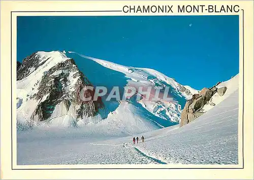 Cartes postales moderne Chamonix Mont Blanc