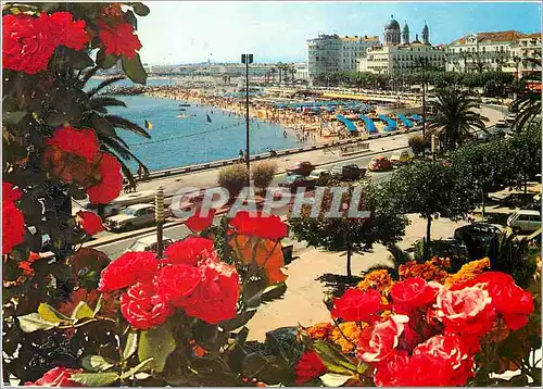 Cartes postales moderne Saint Raphael