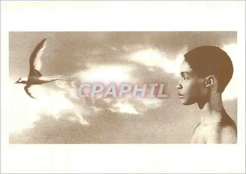 Cartes postales moderne L'Enfant et l'Oiseau