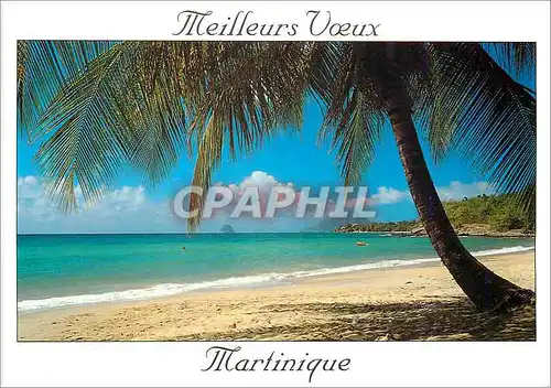Moderne Karte Meilleurs Voeux Martinique