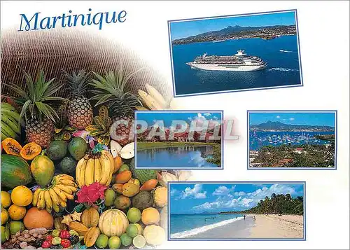 Cartes postales moderne Martinique