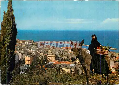 Cartes postales moderne Corse Ane Mule