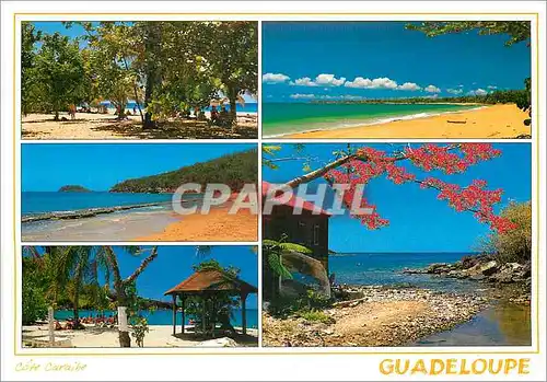 Cartes postales moderne Guadeloupe