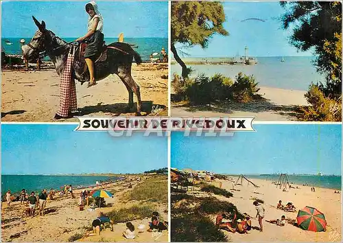 Cartes postales moderne Souvenir de Rivedoux Ane Mule
