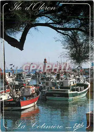 Moderne Karte Ile d'Oleron La Cotiniere  Bateaux