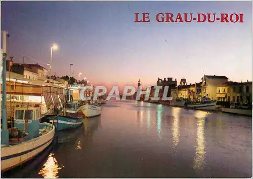 Cartes postales moderne Le Grau du Roi