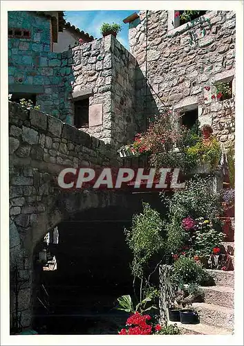 Cartes postales moderne Gorges de l'Ardeche Ruoms vieux village ardechois