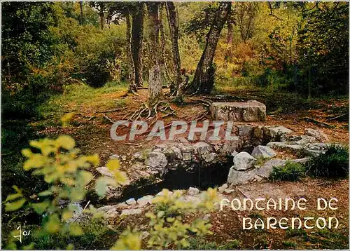 Cartes postales moderne Fontaine de Barenton Foret de Paimpont