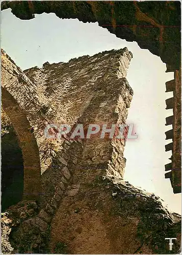 Cartes postales moderne Languedoc Saint Guilhem le Desert Arcs Boutants