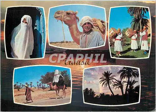 Cartes postales moderne Tunisie Pittoresque