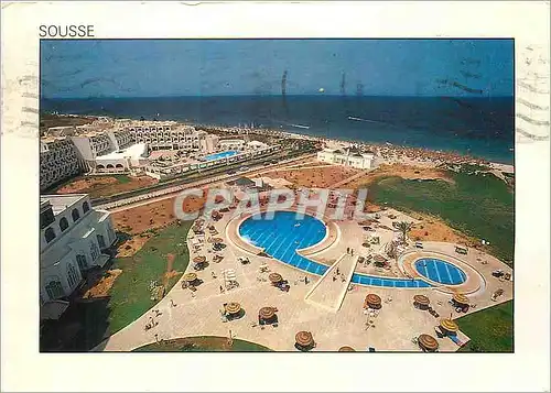 Cartes postales moderne Sousse Tortue Turtle