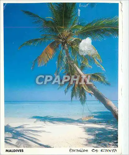 Cartes postales moderne Maldives Paradise on Earth