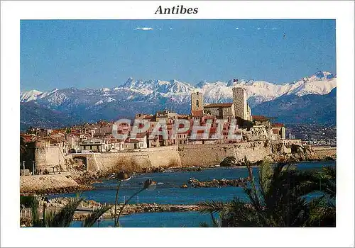 Cartes postales moderne Antibes