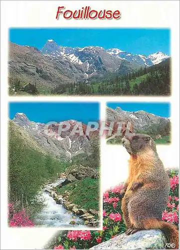 Moderne Karte Fouillouse Marmotte