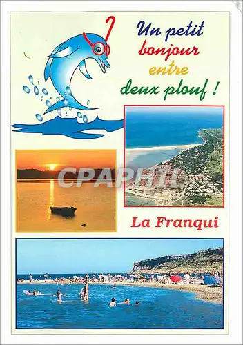 Cartes postales moderne Un petit bonjour entre deux plouf La Franqui Dauphin