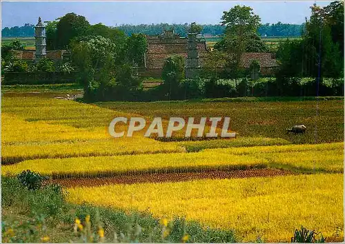 Moderne Karte Vietnam Beautiful Landscapes