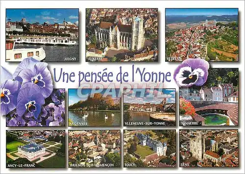 Cartes postales moderne Une pensee de l'Yonne