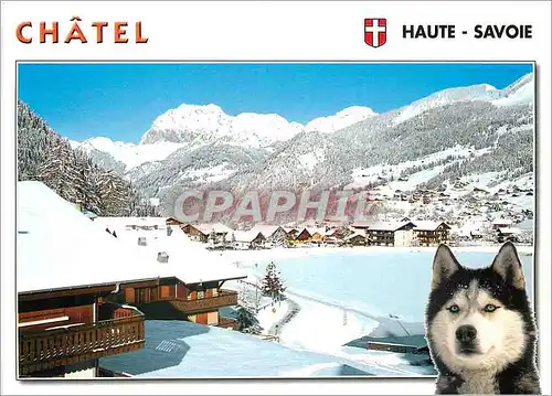 Moderne Karte Chatel Haute Savoie Chien Husky