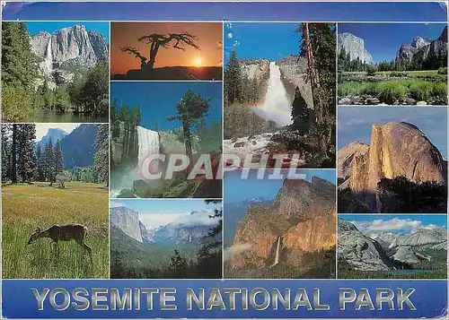 Cartes postales moderne Yosemite National Park