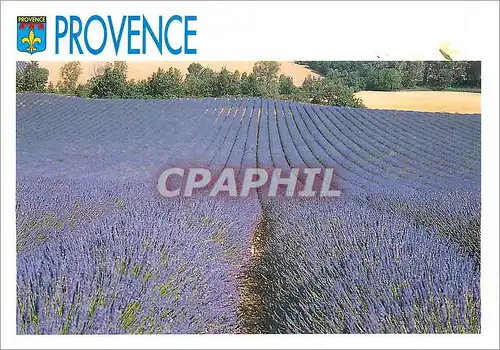 Cartes postales moderne Provence