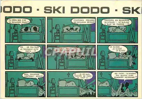 Cartes postales moderne Ski Dodo