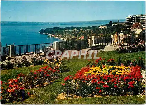 Cartes postales moderne Thonon les Bains Sur la rive Francaise du Leman Les Jardins du Belvedere le Lac et la rive Suiss