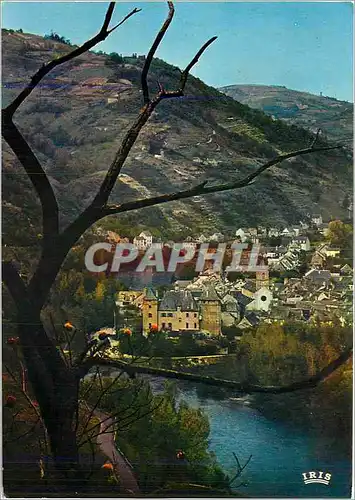 Cartes postales moderne Le Haut Rouergue Entraygues sur Truyere surnommee Entraygues La Jolie Aveyron Vue generale