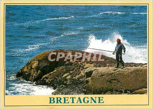 Cartes postales moderne Bretagne Pecheur sur la cote Peche