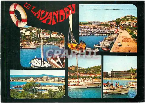Cartes postales moderne Le Lavandou