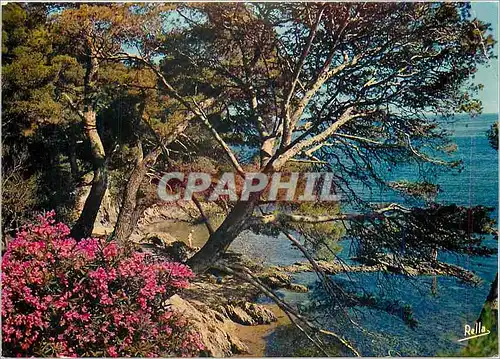 Moderne Karte La Cote d'Azur Bord de mer