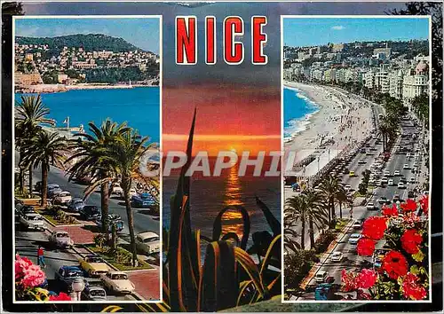 Cartes postales moderne Nice Alpes Maritimes La Promenade des Anglais