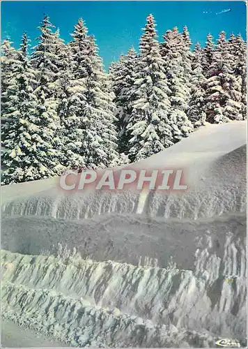 Cartes postales moderne Neige et Soleil