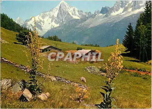 Moderne Karte Du Livre d'Images De G R M Au pays du Mont Blanc