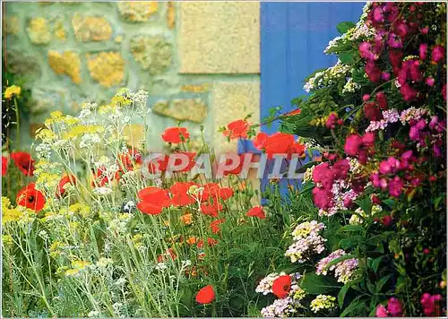 Cartes postales moderne Couleurs de Bretagne