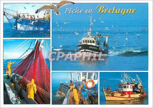 Cartes postales moderne Bretagne Pittoresque la Peche en Bretagne le corps a corps de l'homme et de la mer