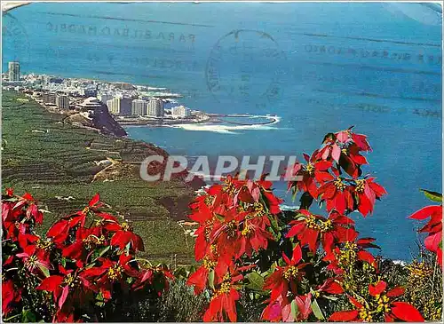 Cartes postales moderne Tenerife Sosta del Norte y Puerto de la Cruz