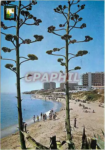 Cartes postales moderne Torremolincs Benalmadena (Costa dei Soi) Plage Fuente de la Salud