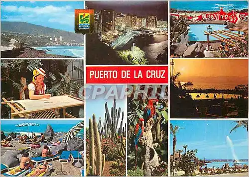 Cartes postales moderne Puerto de la Cruz (Tenerife) Divers aspects