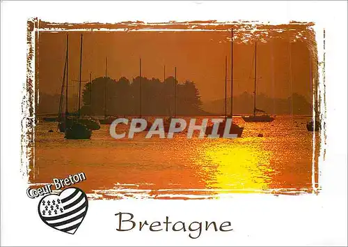 Cartes postales moderne Bretagne Coeur Breton