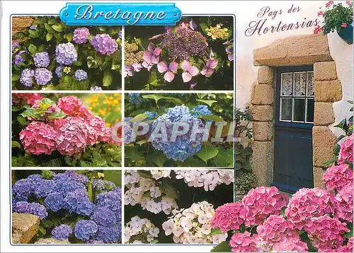 Moderne Karte Bretagne Pays des Hortensias