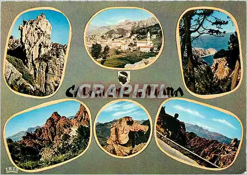 Cartes postales moderne Charmes et Couoleurs  de la Corse les Calanche de Piana