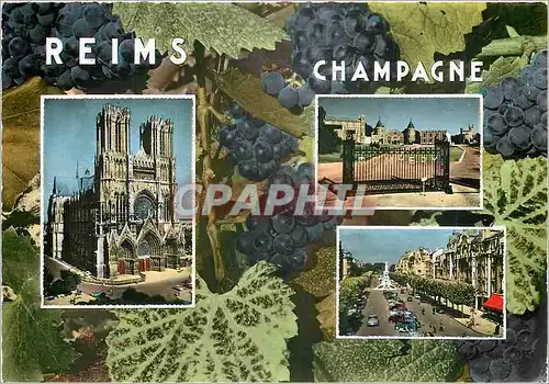 Cartes postales moderne Reims Champagne La Cahtedrale la Place Drouet d'Erlon les Champagnes Pommery Greno