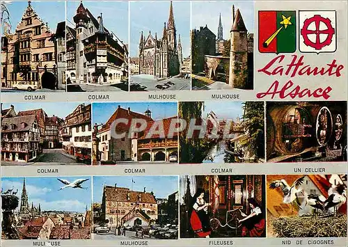 Cartes postales moderne Lattante Alsace