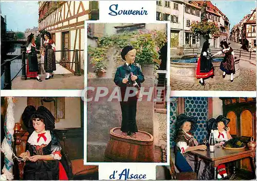 Cartes postales moderne Souvenir de l'Alsace