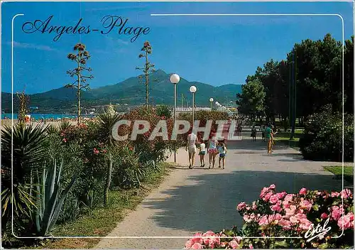 Moderne Karte La Cote Vermelle Argeles Plage (Pyrenees Orientales) la promenade le Long de la plage