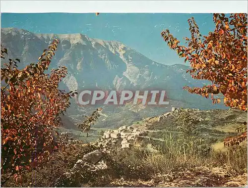 Cartes postales moderne L'automne au pied du Ventoux